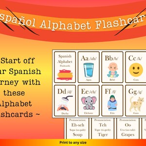 Spanish Learning Alphabet Flashcards