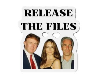 Die-Cut Magnet: Political Humor - Release The Files