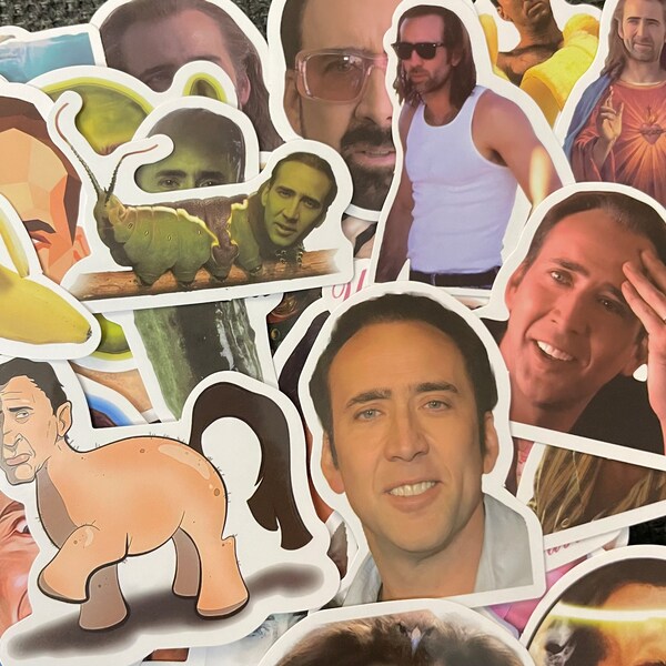 Nicolas Cage Inspired Stickers - Set of 10/15/20 - Random Lot