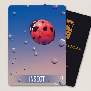 2 insectenmunten - volledige kunst - kunst zonder kunstmatige intelligentie - INS01
