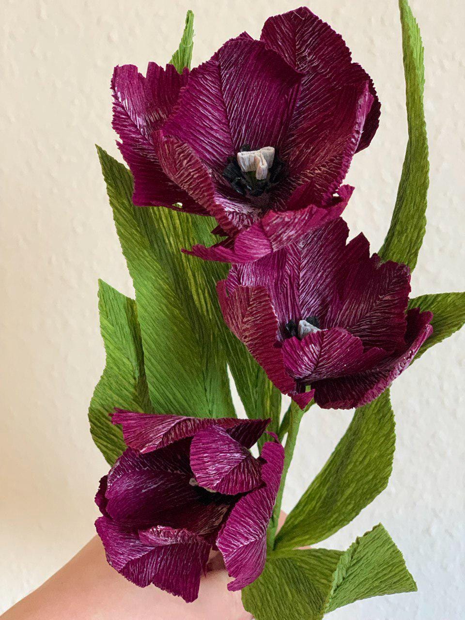 Papagei tulpen - Etsy.de