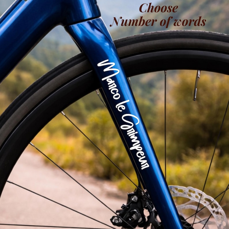 Unique cycling gift idea with a personalized bike name sticker made for road bike lovers and outdoor enthusiasts. This custom bike frame decal is perfect for adding identity to your bicycle, whether for racing, training, or casual rides. Waterproof and long-lasting vinyl ensures durability in all weather conditions. Ideal for cycling team decals, custom labels, or bike accessories that combine style and performance.