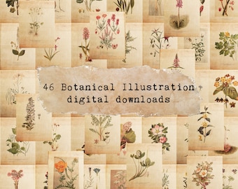 May include: A collage of 46 vintage botanical illustrations featuring various flowers, plants, and herbs. The illustrations are in black and white and have a faded, antique look. The text "46 Botanical Illustration digital downloads" is in the center of the collage.
