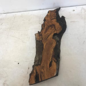 Turkish Olive Wood Root Plate, Live Edge Epoxy Decor