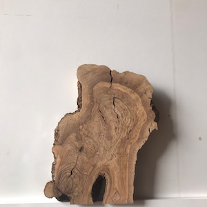 May include: A large, natural wood slice with a unique, irregular shape and a beautiful grain pattern. The wood is a light brown color with darker brown streaks and knots. The slice is about 12 inches in diameter.