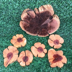 May include: A collection of handcrafted wooden flower-shaped coasters and a larger wooden piece, all with a natural wood grain and dark brown centers. The coasters are arranged on a green, artificial grass surface.