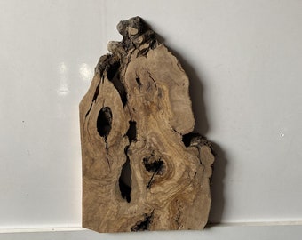 May include: A large piece of wood with a natural, organic shape and a brown, weathered finish. The wood has a unique grain pattern and several knots.