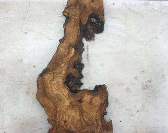 Live Edge Olive Wood Slab, Resin Detail - Rustic Handmade Platter (15x12x1.18 inches)