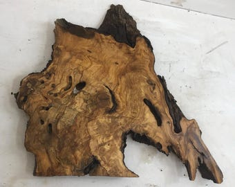 Turkish Olive Wood Slab, Live Edge Plank, Epoxy Resin River Table (14.7x14x1 inches)