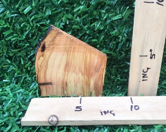 Turkish Wood Slice Wood Raw Edge Resin Handmade Wood Planks Live Edge Plate Unfinished Wood 1pcs Plank  8"x7,5"x1,57"inches