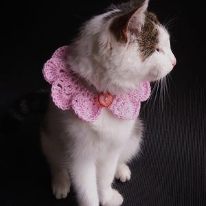 Könnte beinhalten: Eine weiß-graue Katze mit einem hellrosa, gehäkelten Kragen mit Knopfverschluss. Der Kragen hat einen gewellten Rand. Die Katze sitzt und blickt auf dunklem Hintergrund nach rechts.