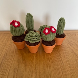 Handmade Crochet Cacti and Succulents in Pots: Crochet Gifts