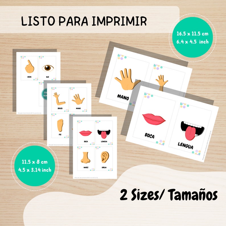 Body Parts Flashcards in Spanish for Kindergarten Teacher Flashcards ...