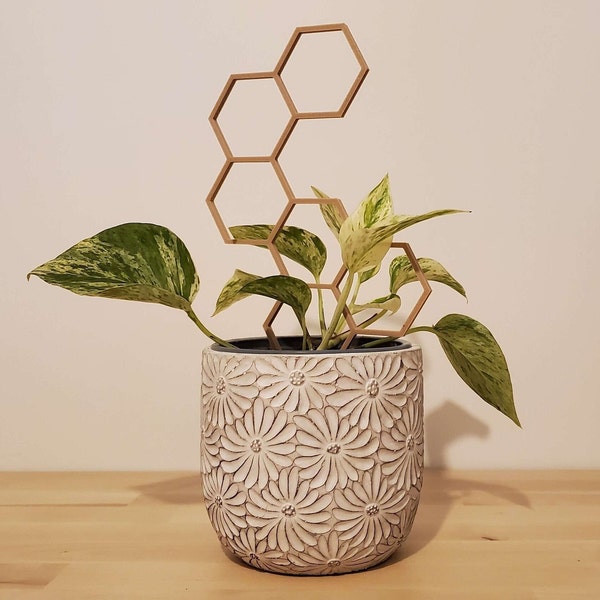 Support de plante hexagonale - Imprimé en bois