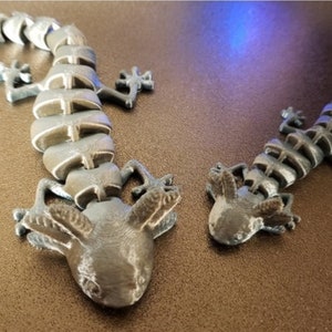 Op de afbeelding: Twee zilverkleurige, gearticuleerde, 3D-geprinte axolotl-figuurtjes. De grotere axolotl is ongeveer 25 cm lang en de kleinere ongeveer 12,5 cm. Beide axolotls hebben gedetailleerde kenmerken, waaronder kieuwen en ogen.