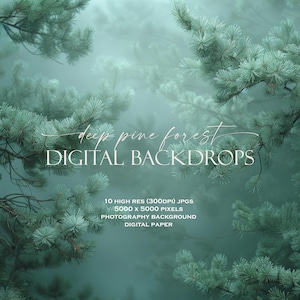 May include: A digital backdrop featuring a misty forest with tall pine trees. The text "deep pine forest DIGITAL BACKDROPS" is written in white on the image. The text below the title reads "10 HIGH RES (300DPI) JPGS 5000 x 5000 PIXELS PHOTOGRAPHY BACKGROUND DIGITAL PAPER".