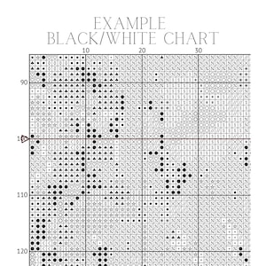 May include: Black and white cross stitch pattern chart with symbols for a design. The chart is labelled "EXAMPLE BLACK/WHITE CHART" and includes numbers 10, 20, 30, 90, 100, 110, and 120.