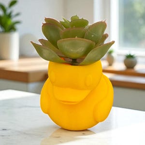 Puede incluir: Una maceta amarilla brillante con forma de pato que contiene una planta suculenta verde. La maceta tiene un diseño liso y redondeado con la cara y el cuerpo de un pato. La suculenta tiene hojas verdes y rojizas.