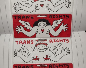 Trans rights stickers