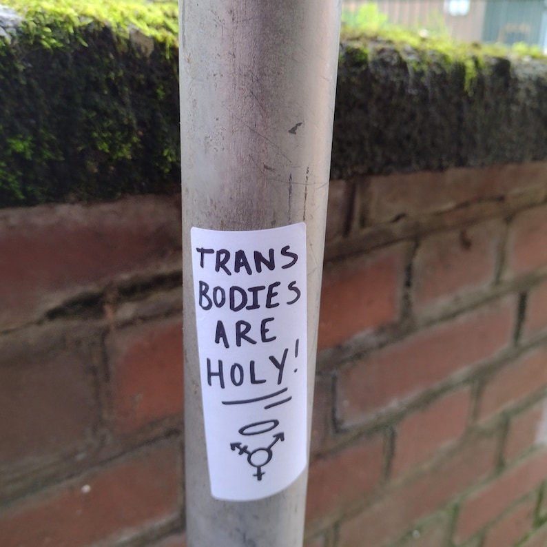 TRANS RIGHTS sticker bundle image 9