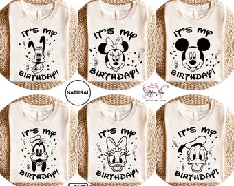 It's My Birthday Disney Character Shirts, Disney Birthday Shirt, Disney Boy Shirt, Disney Girls Trip, Disneyland Tee, Disney Family Vacation