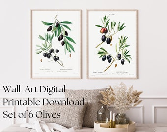 6 Olive Branch Illustrations | Image Bundle Printable Wall Art | Instant Digital Download