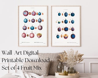 4 Fruit Mix Illustrations | Image Bundle Printable Wall Art | Instant Digital Download