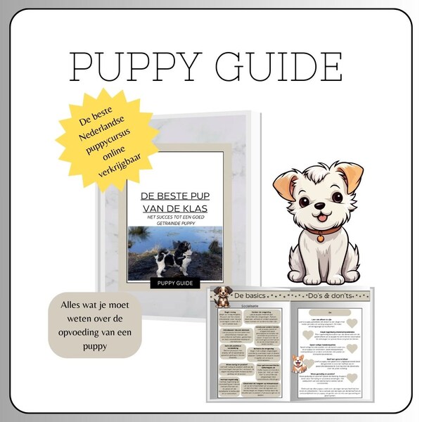 Puppycursus | puppy guide | puppy training | puppy ebook