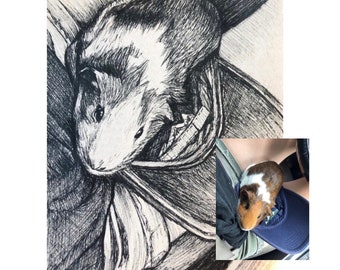 Custom Pet Portraits | Ink Drawing