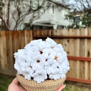 Puede incluir: Un ramo de flores blancas de ganchillo en una maceta de ganchillo marr&oacute;n.