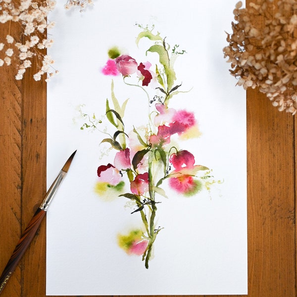 Illustration aquarelle "La Romance des pois de senteur" - Tirage d'Art série limitée