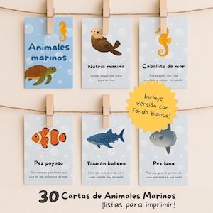 Tarjetas imprimibles de animales marinos – Español – Aprendizaje preescolar, recurso educativo, decoración infantil, estilo Montessori