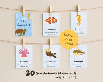 Animal Cards - Marine Animals Flashcards - English (Printable PDF & PNG Files)