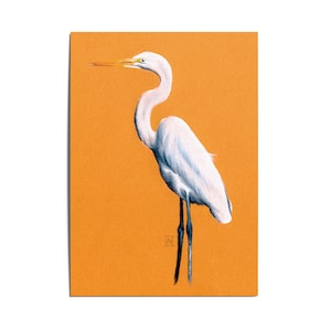 Carte illustrée Grande aigrette A5
