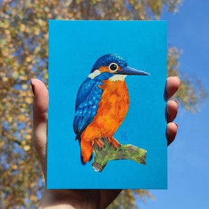 Carte illustrée Martin-pêcheur A6