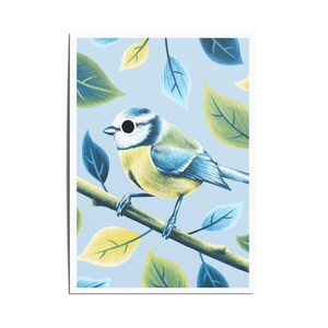 Carte illustrée Mésange bleue A5