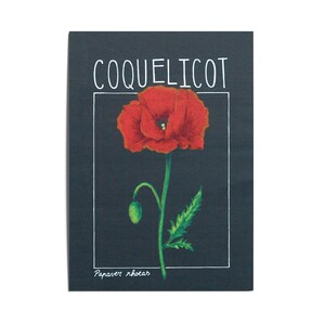 Carte illustrée Coquelicot A5