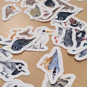 Stickers Oiseaux