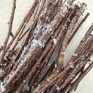 May include: A bundle of thin, brown wooden twigs covered in a light dusting of white, crystalline particles that resemble frost or snow. The twigs are arranged in a cluster, showing varied textures and natural bark patterns throughout the group.