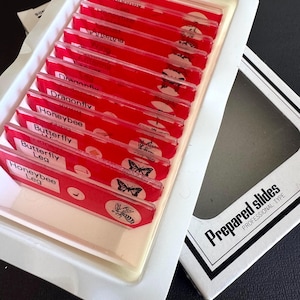 May include: A white plastic storage tray containing ten rectangular glass microscope slides with red labels. Each slide features a white circular icon and text identifying biological specimens such as honeybee leg, butterfly, and dragonfly.
