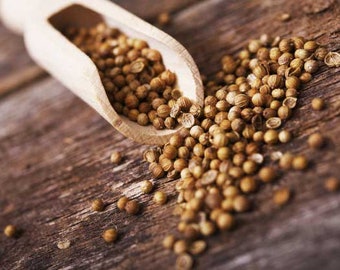 Dried Coriander Seeds, Imported from Thailand