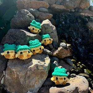 Frog hat duck