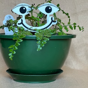 Plant eye Stakes