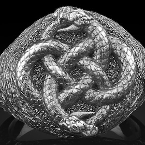 Snake Ouroboros Ring for Men, Sterling Silver Serpent Ring, Ancient Symbol of Infinity Jewelry, Handmade Pagan Signet Mythical Gift for Him