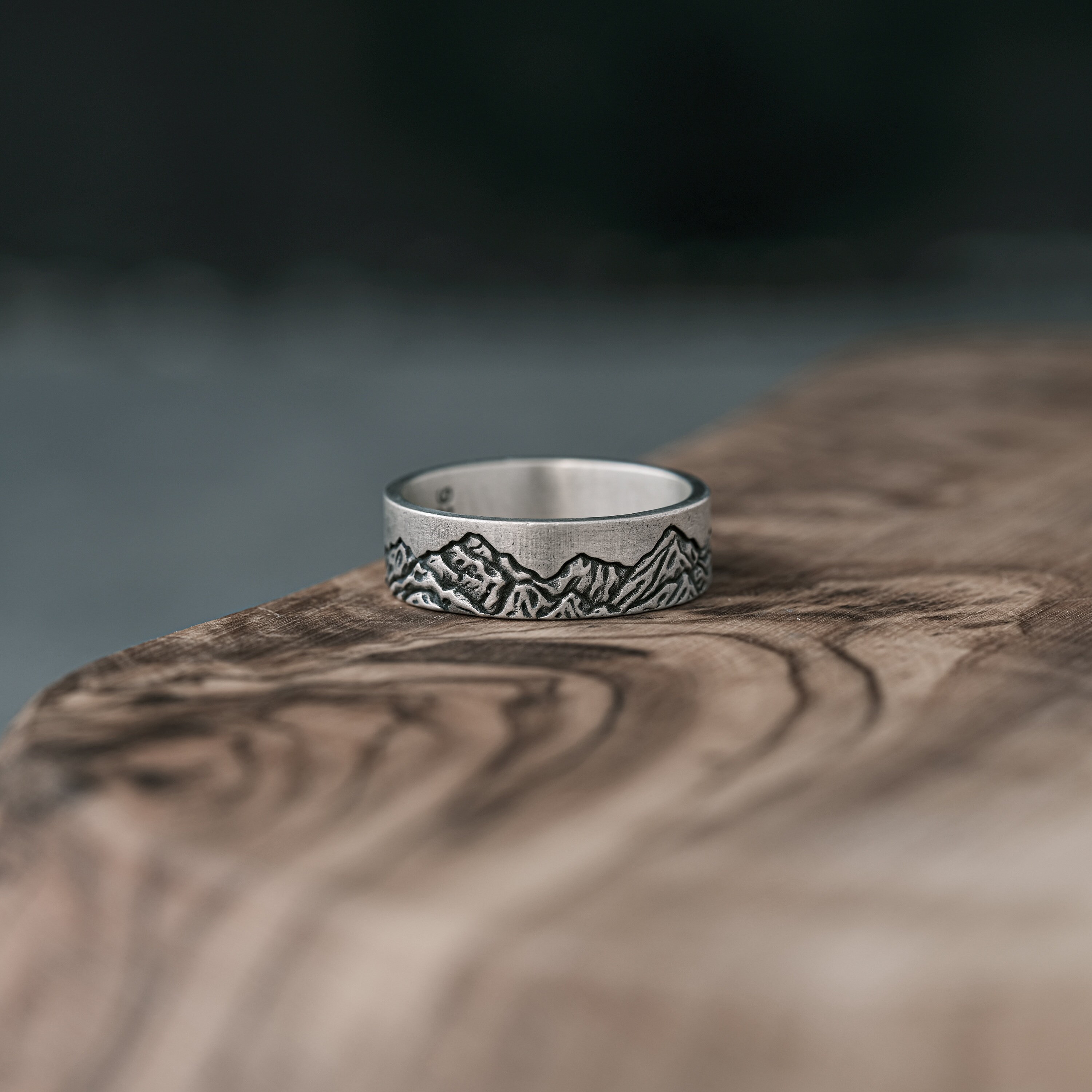 ミニロココRING Silver925 Oxidized Sterling Silver Pine Tree Mountain Ring - Etsy
