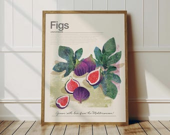 Poster di fico, atmosfera mediterranea, illustrazione di fico, arredamento per la casa, regalo di inaugurazione della casa