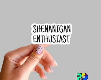 Shenanigan Enthusiast snarky quote stickers, sarcastic stickers, water bottle stickers, laptop stickers, hydroflask stricker, holographic