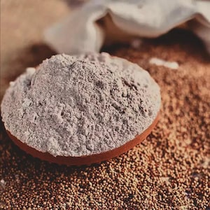 Peut inclure: Un tas de poudre fine gris clair repose dans un bol en terre cuite circulaire de couleur brun rougeâtre. Le bol est entouré de petites graines rondes et brunes éparpillées sur une surface texturée, avec un tissu blanc cassé à proximité.