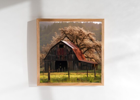 Spring Rustic Barn Rustic Barns In The Spring Barn And Rustic Wedding Venues In Spring