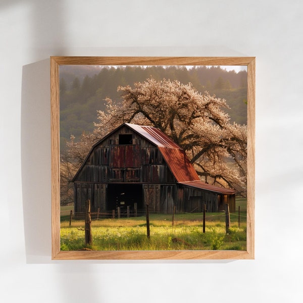 Rustic Barn in Spring